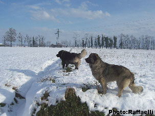 Irina et Mush